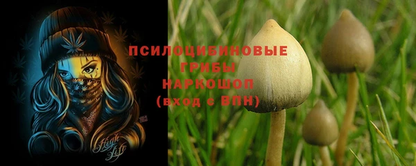 PSILOCYBIN Верхний Тагил